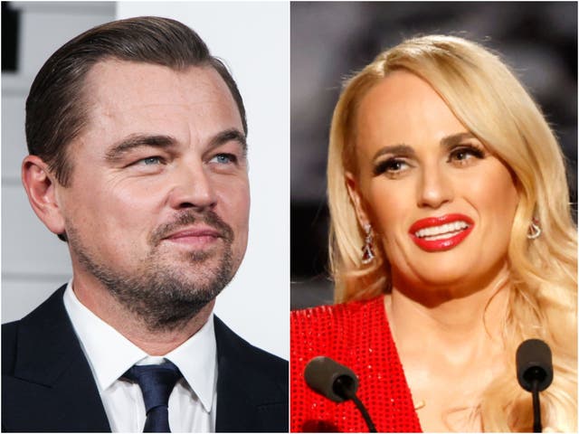 Leonardo DiCaprio Rebel Wilson