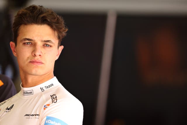 <p>Lando Norris has become the latest F1 driver to criticise Drive to Survive </p>