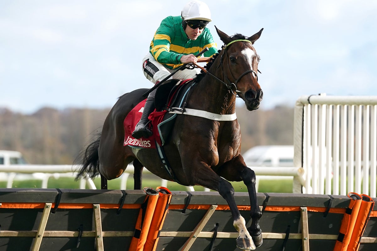 Cheltenham Festival 2025 tips: Experts’ best bets and 13 horses to watch on day two