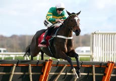 Cheltenham Festival 2025 tips: Experts’ best bets and 12 horses to watch on day two
