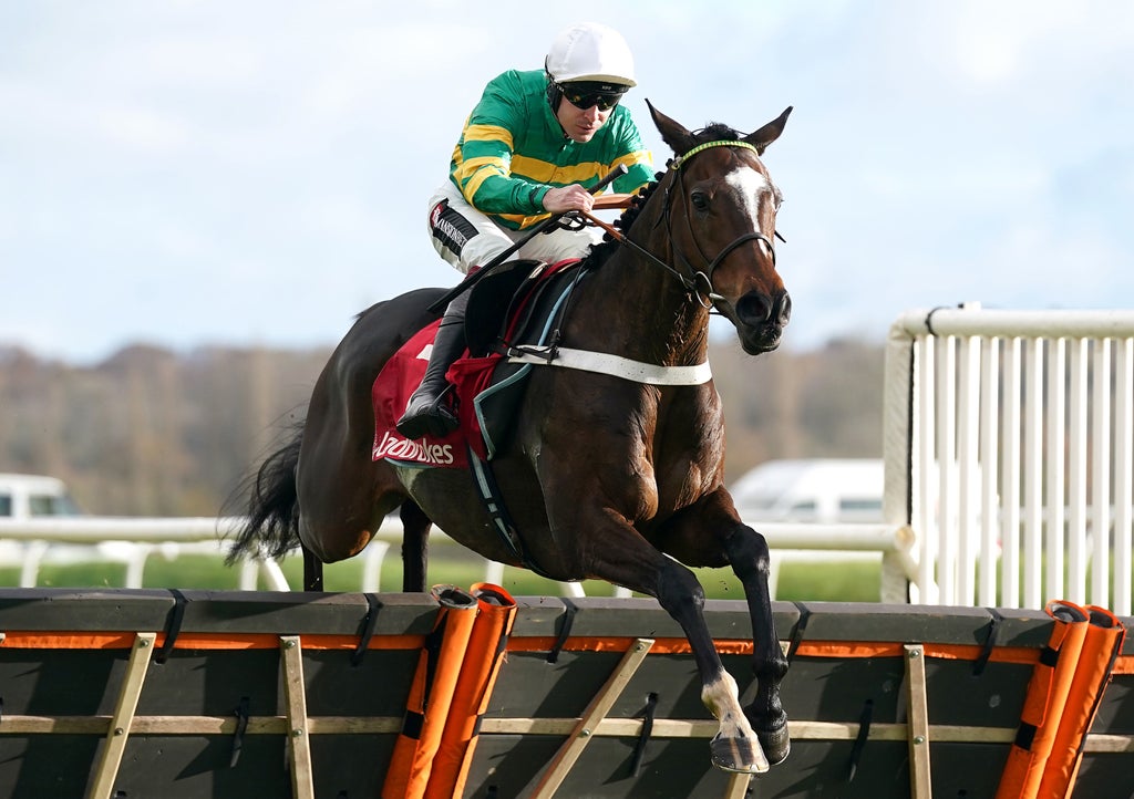 Cheltenham Festival 2022 tips: Queen Mother Champion Chase Cross Country Chase on Day 2