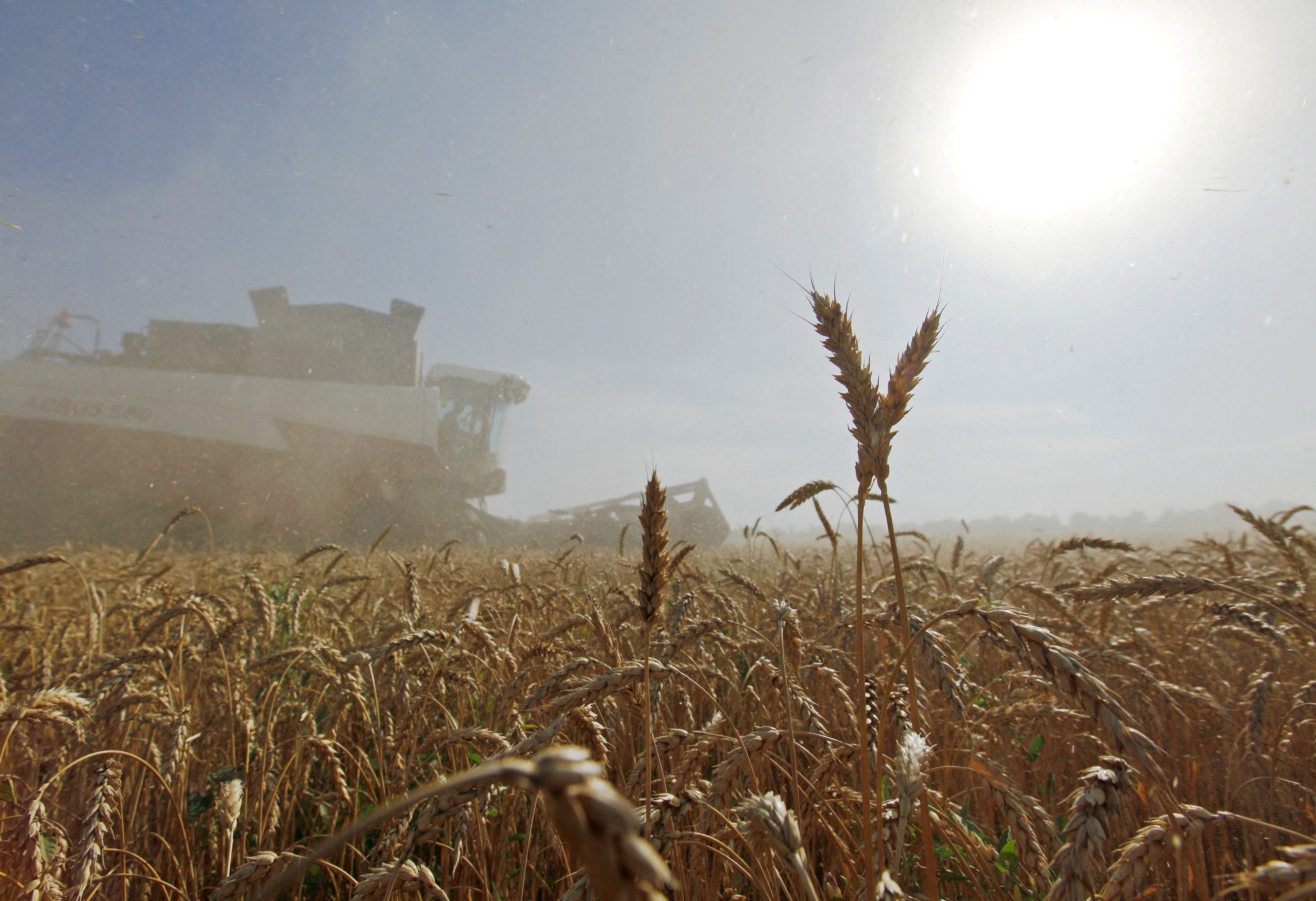 Agriculture workers have gone to fight against Russian soldiers, and fuel is in short supply for the farmers who remain