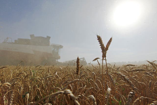 La empresa agrícola alemana Bayer AG se retira de Rusia tras la invasión de Ucrania