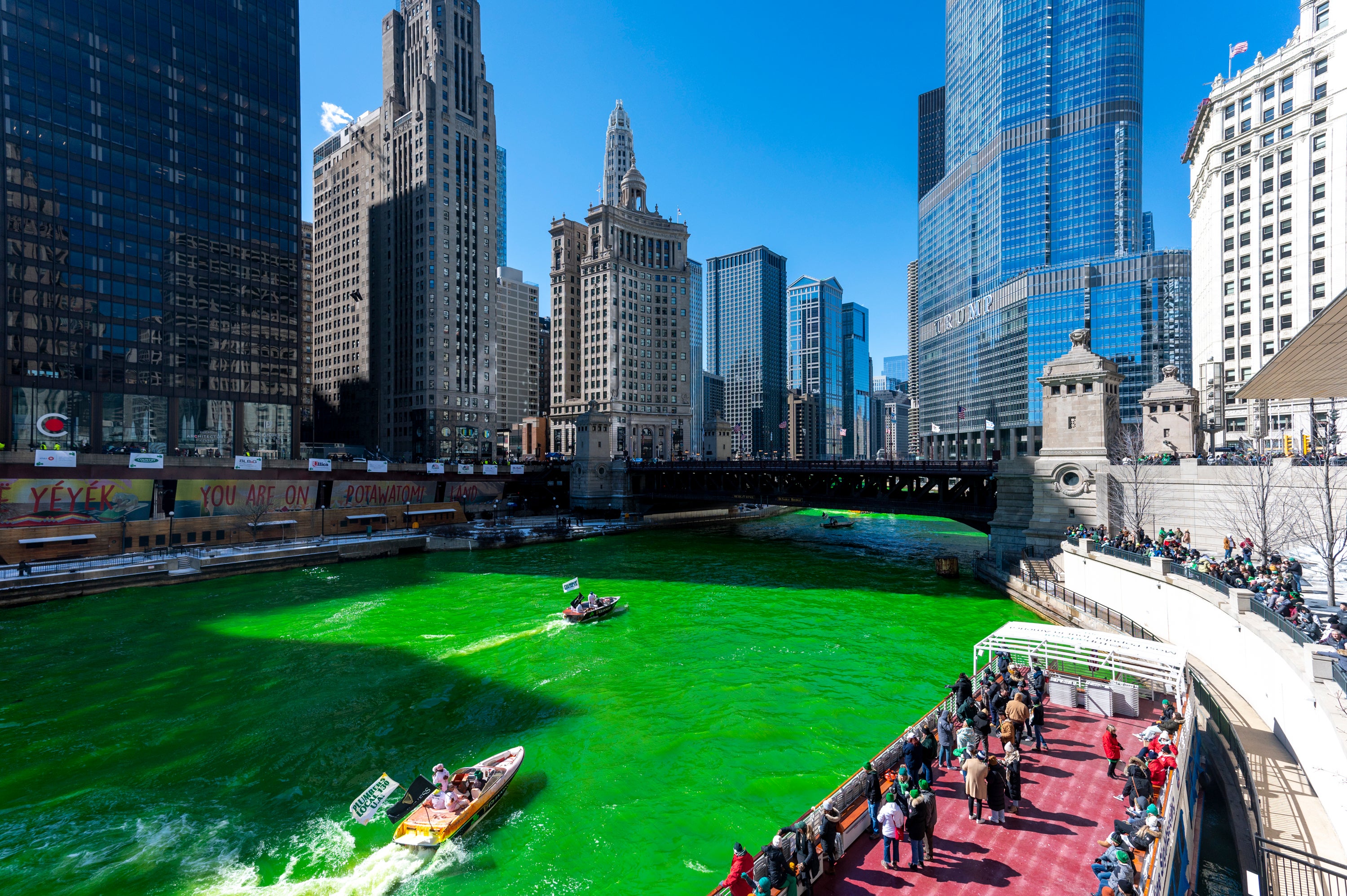The Chicago River appears green after the Plumbers Union Local 130 dyed it, Saturday, March 12 ahead of St. Patrick’s Day on Thursday