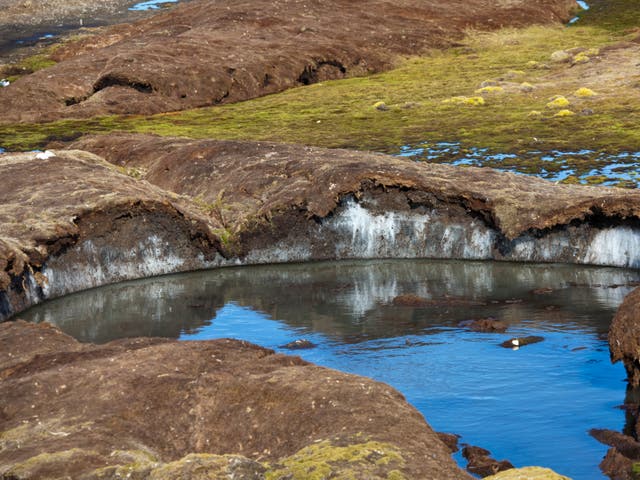 <p>Melting permafrost peatlands release methane and carbon into the atmosphere, increasing warming further</p>
