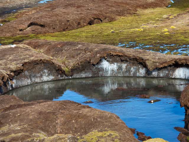 <p>Melting permafrost peatlands release methane and carbon into the atmosphere, increasing warming further</p>