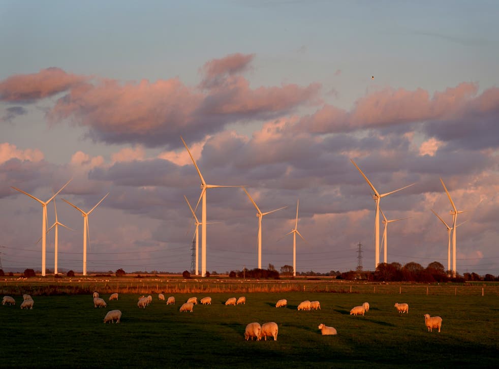 Campaigners are calling for action to increase renewables including onshore wind (Gareth Fuller/PA)