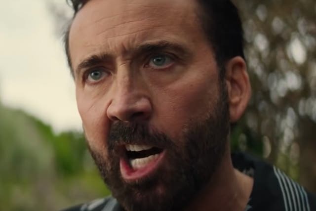 <p>Nicolas Cage in ‘The Unbearable Weight of Massive Talent’</p>