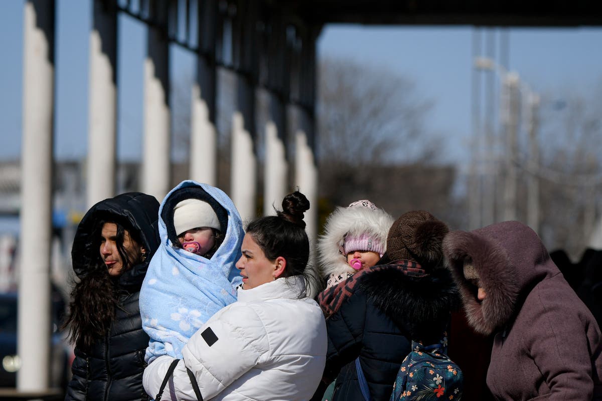 Refugee website crashes as 100,000 Britons rush to take in Ukrainians