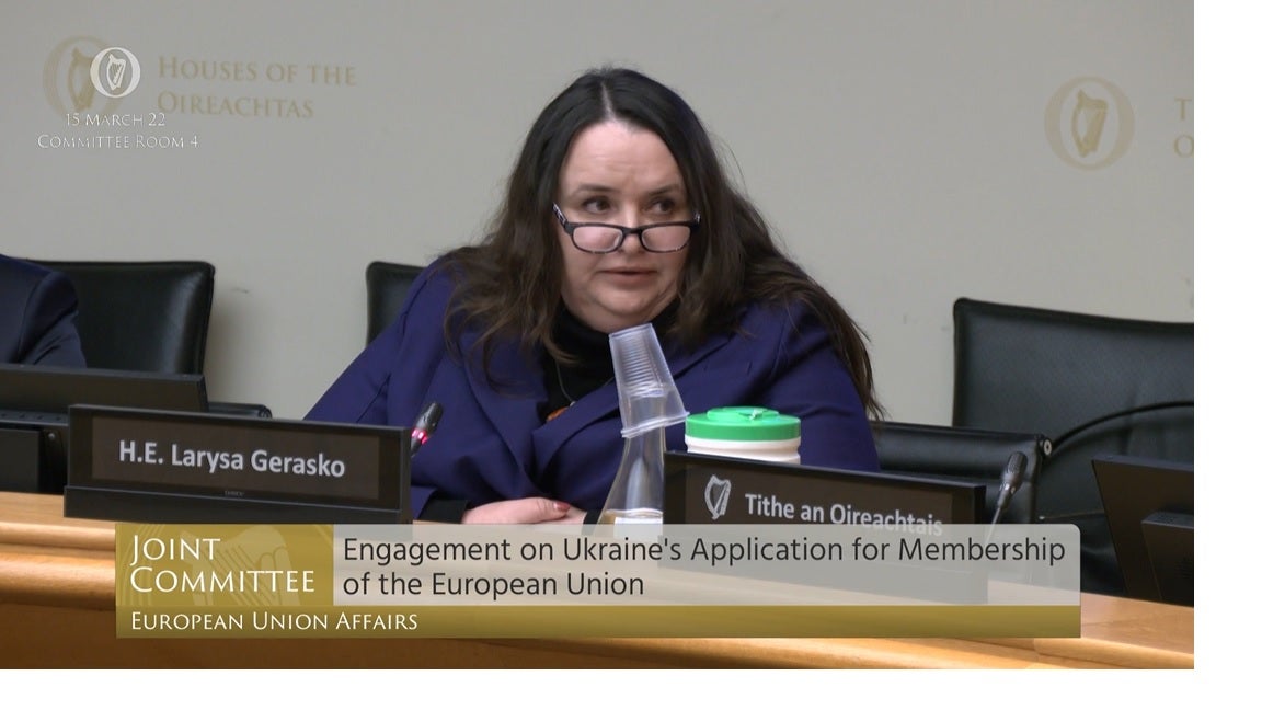 The Ukrainian ambassador to Ireland Larysa Gerasko (Oireachtas TV/PA).