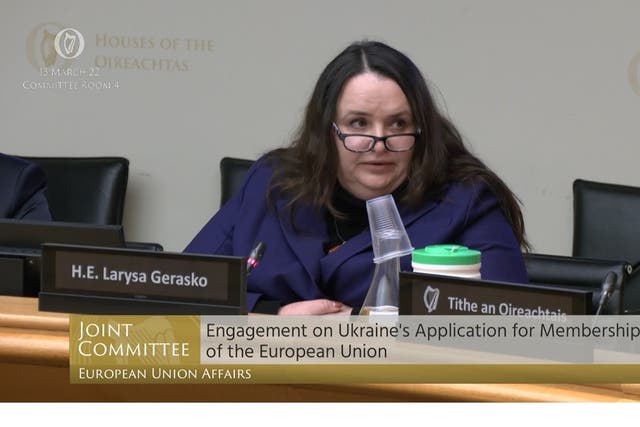 The Ukrainian ambassador to Ireland Larysa Gerasko (Oireachtas TV/PA).