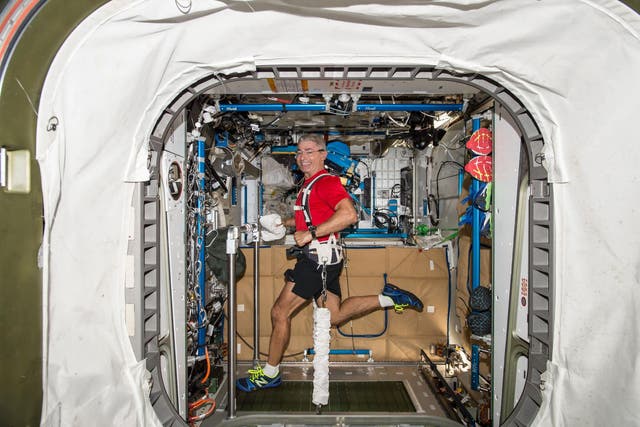 <p>Astronaut Mark Vande Hei aboard a treadmill on the International Space Station</p>