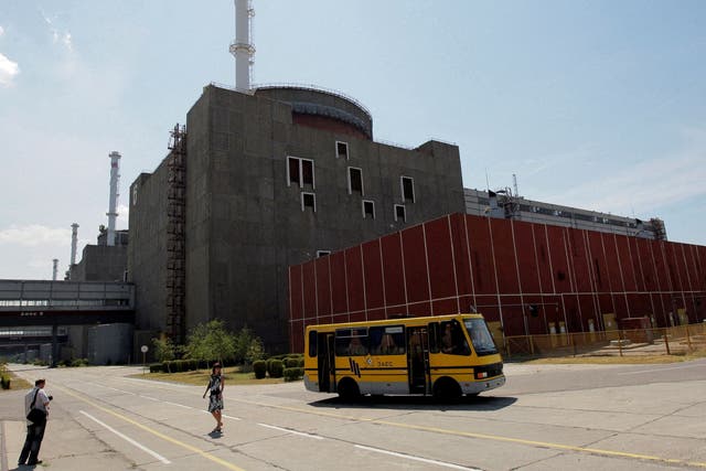 <p>A general view of the Zaporizhzhia nuclear power station in 2008</p>