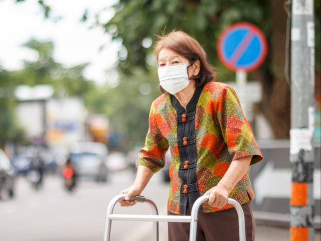 <p>‘Misfiring’ adaptive response to pollutants from vehicles and industry can cause inflammation and tissue damage leading to autoimmune diseases, study warns</p>