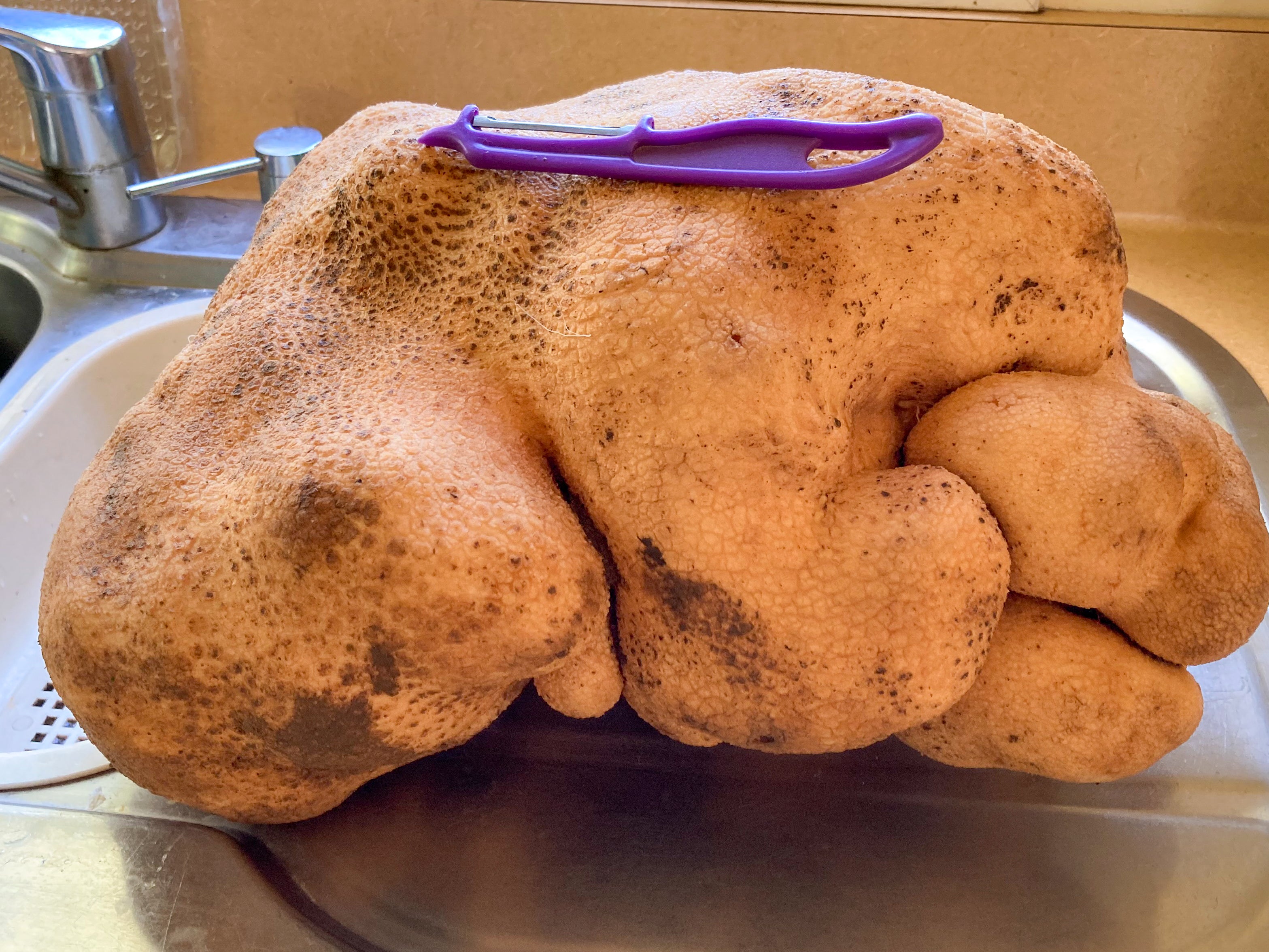 ‘Dug’ is not the world’s largest potato