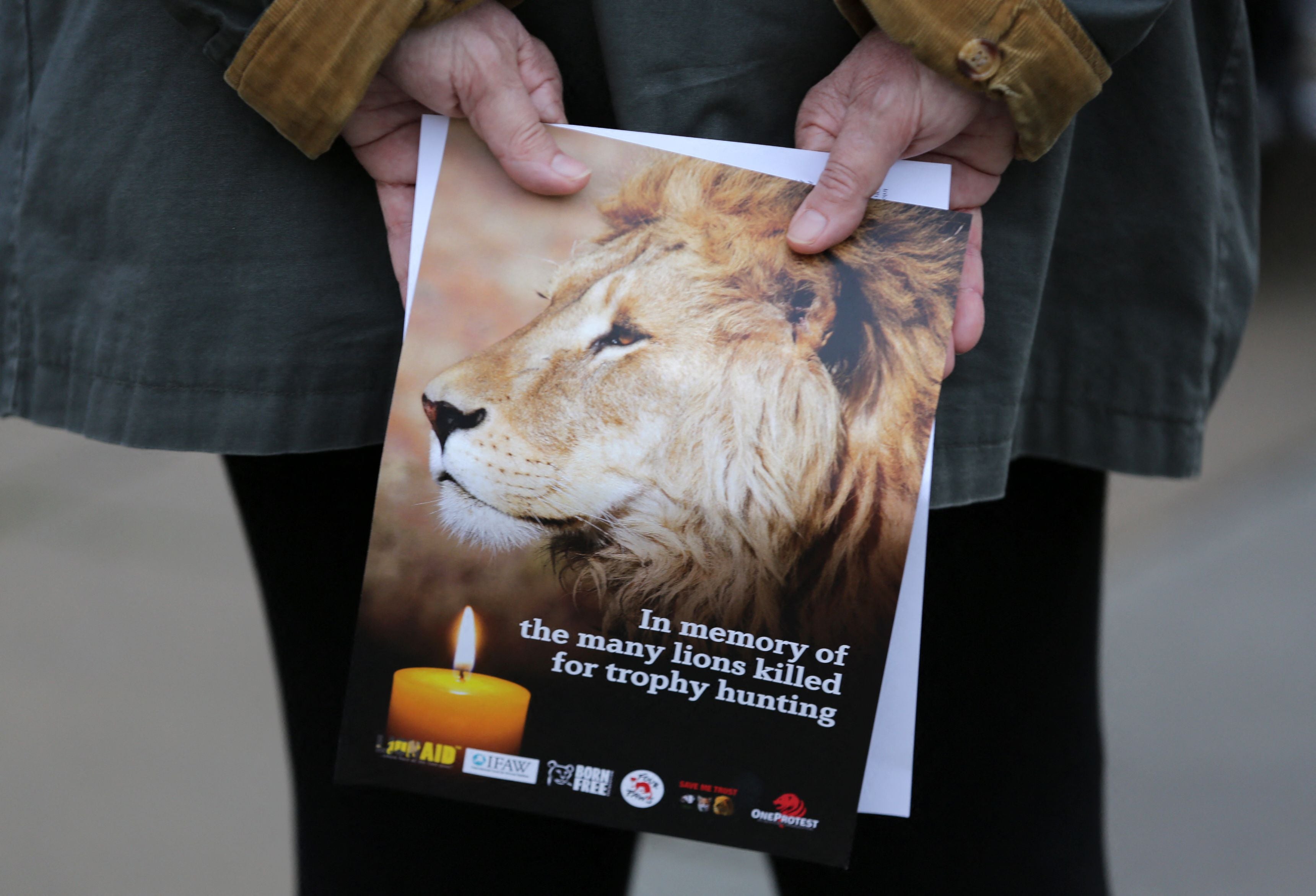 Protesters mark the death of Cecil the Lion at a vigil in London in 2016