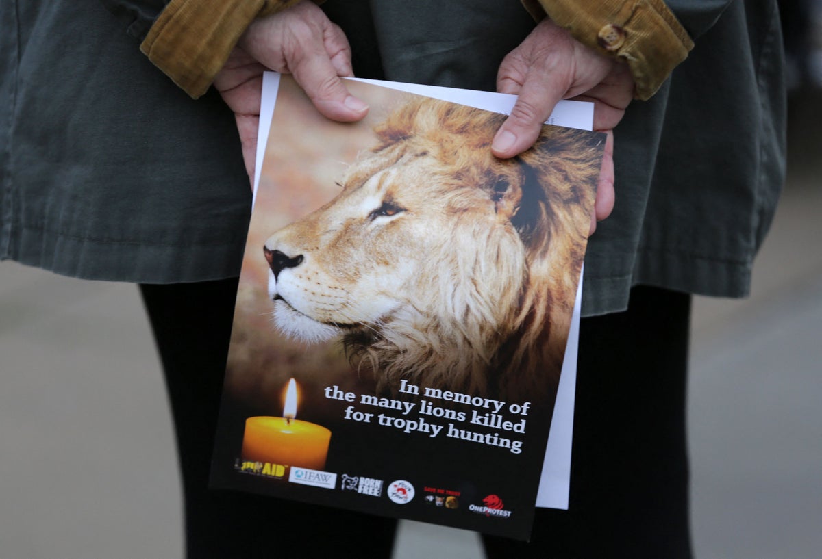 Cecil the Lion killer dentist Walter Palmer inundated with one star Yelp reviews