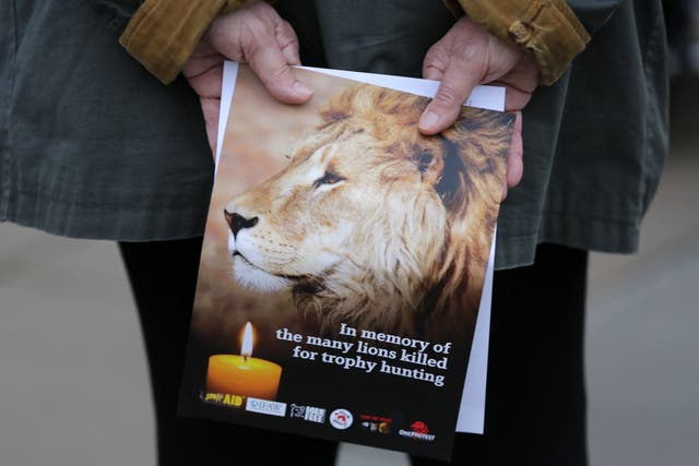 <p>Protesters mark the death of Cecil the Lion at a vigil in London in 2016 </p>