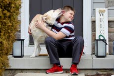 Diabetes & COVID-19: Scientists explore potential connection