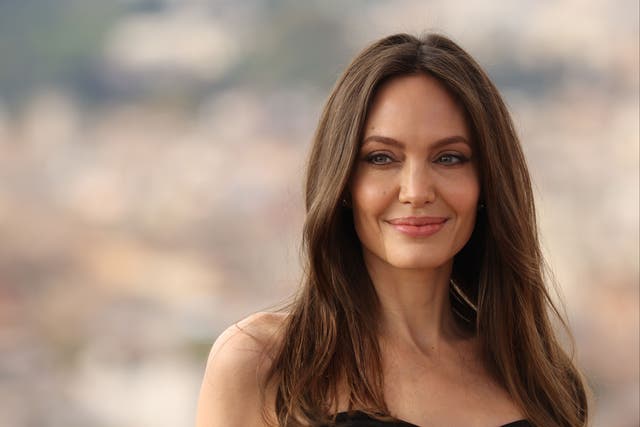 <p>Actor Angelina Jolie advocated  for the 1994 act to be renewed with stronger provisions </p>