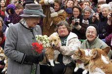 Former MP ate biscuits intended for Queen’s corgis, claims new book