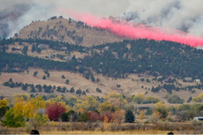 Wildfires have become four times larger, three times more frequent since 2000 in US, study warns