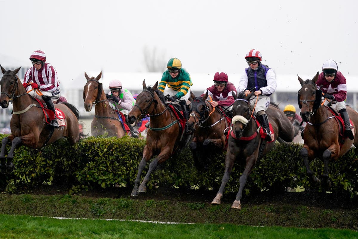 Cheltenham Festival 2022 LIVE: Day three tips, odds, schedule, latest updates and results Cheltenham Festival 2022 LIVE: Day three tips, odds, schedule, latest updates and results