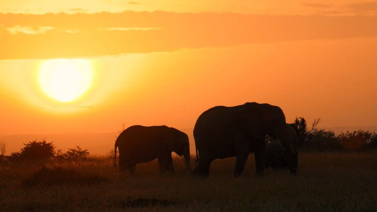 Conservation laws must focus on people