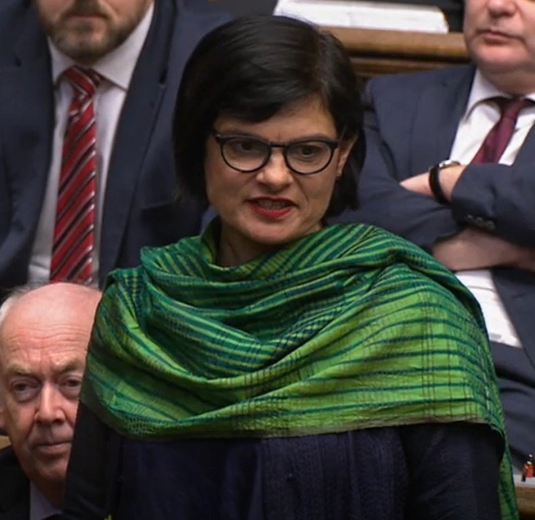 Thangam Debbonaire says the government was provided with evidence of transmission (House of Commons/PA)