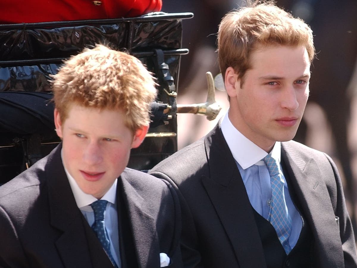 The Crown is casting young Prince William and Harry: ‘No acting experience required’