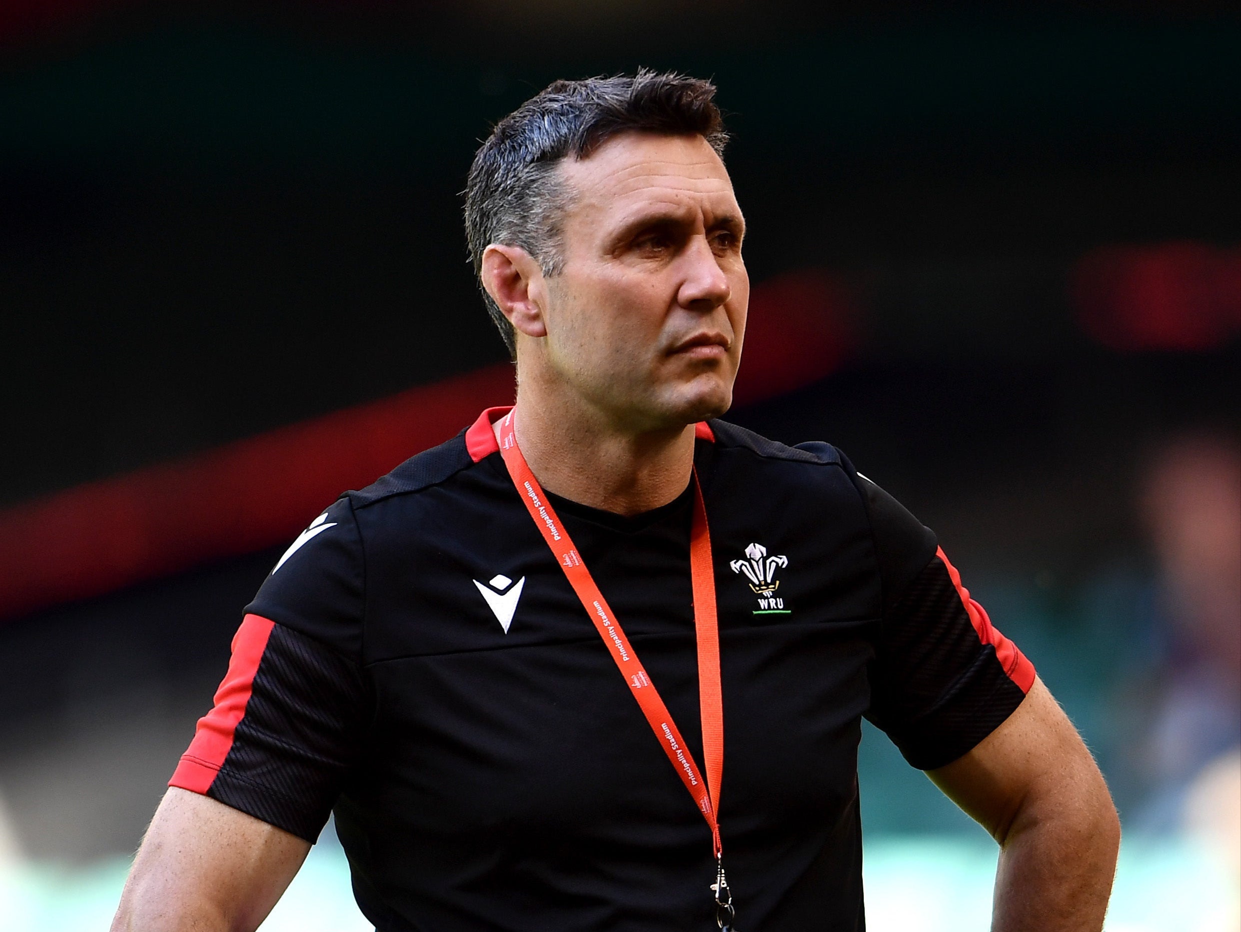 Wales assistant coach Stephen Jones has lavished praise on Dan Biggar and Alun Wyn Jones