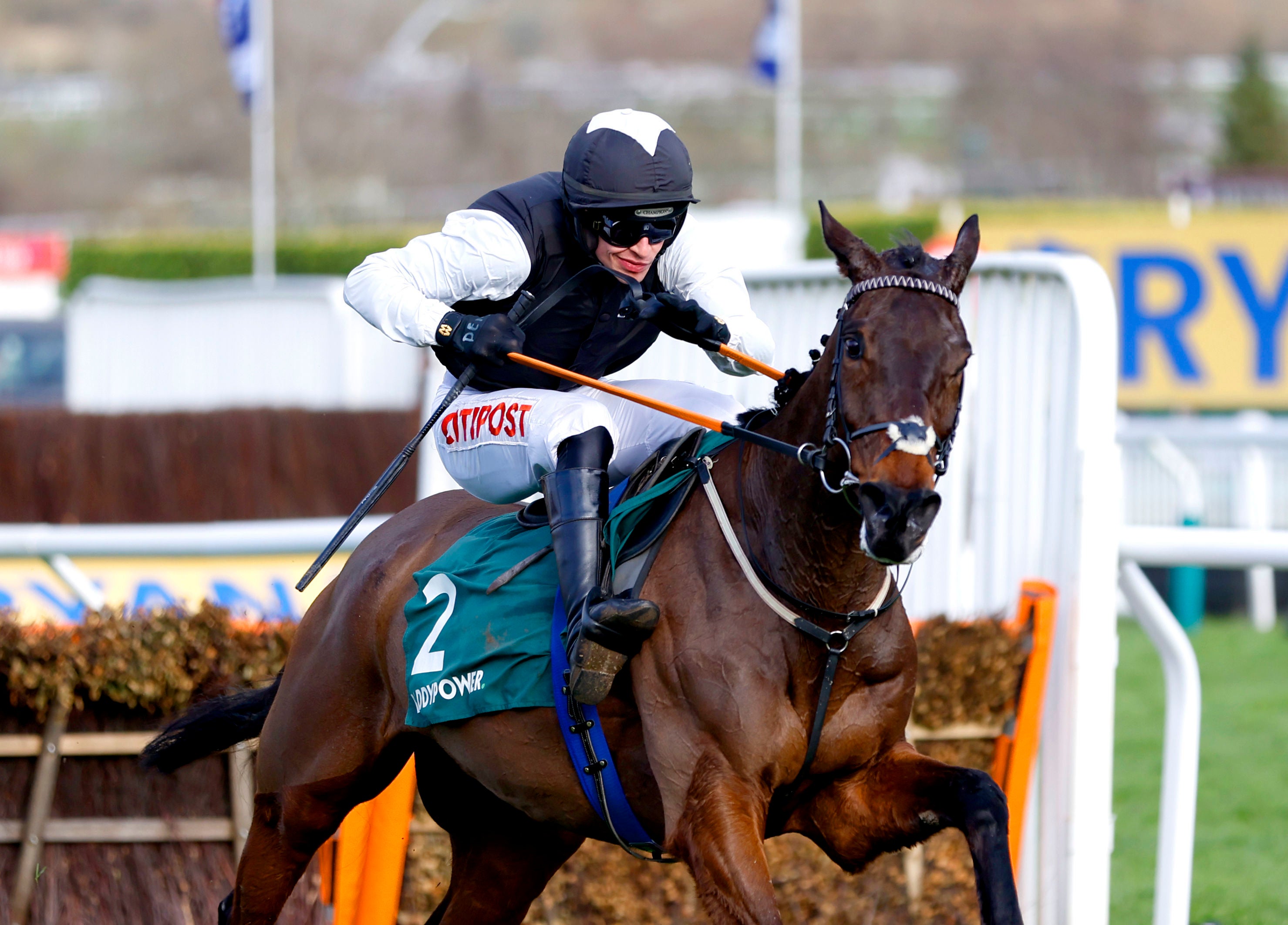 Flooring Porter and Danny Mullins won the Stayers’ Hurdle