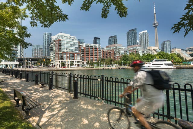 <p>Environmental conditions in the centre of Toronto are more like those in downtown Tokyo than surrounding farmland, the research found</p>