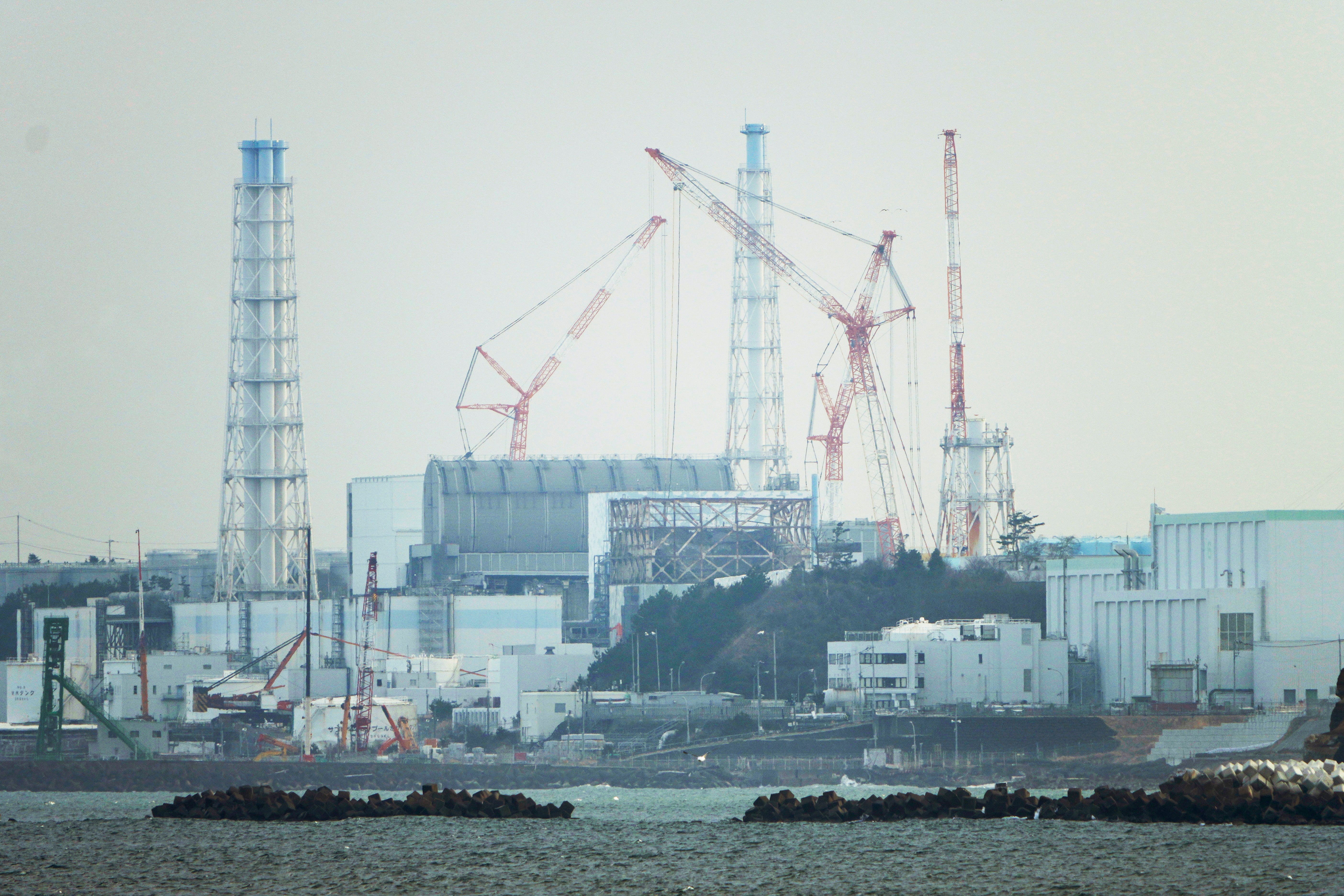 The Fukushima Daiichi nuclear power sits in the coastal towns of both Okuma and Futaba