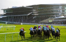 When does Cheltenham Festival start today?