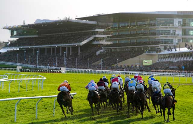<p>The Cheltenham Festival concludes on Friday with the Gold Cup</p>