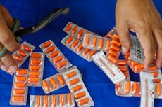 Invermectin ‘not clinically useful’ against Covid, study finds