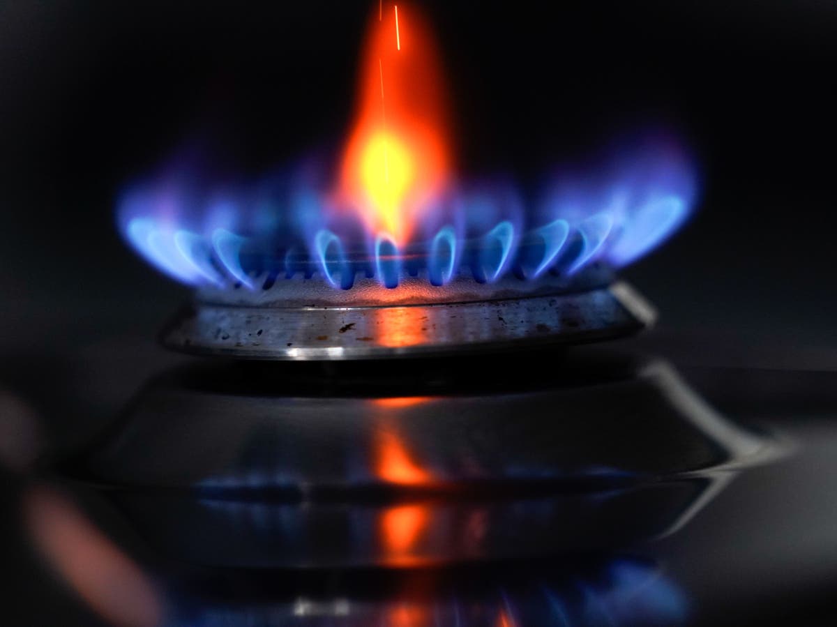Energy bills - live: British Gas website crashes as 40,000 meter readings received an hour, says industry boss