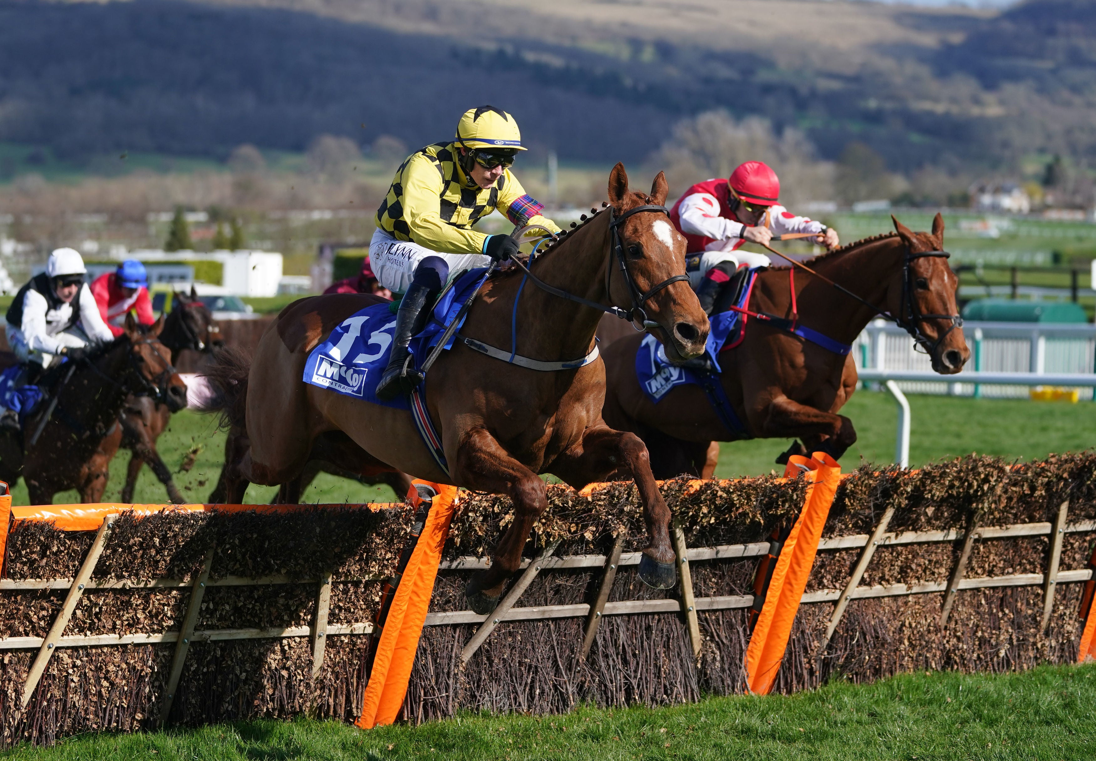 Cheltenham reaches its thrilling conclusion on Gold Cup day