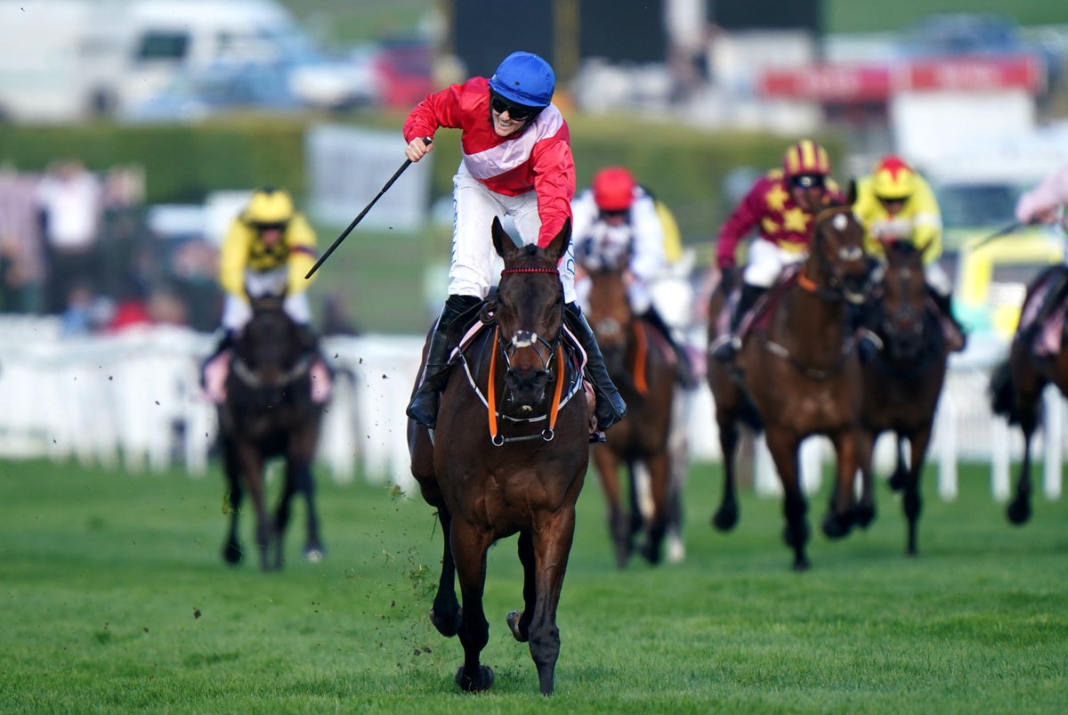 Cheltenham Festival tips tomorrow: Experts on best bets and 12 horses to watch on Day 4