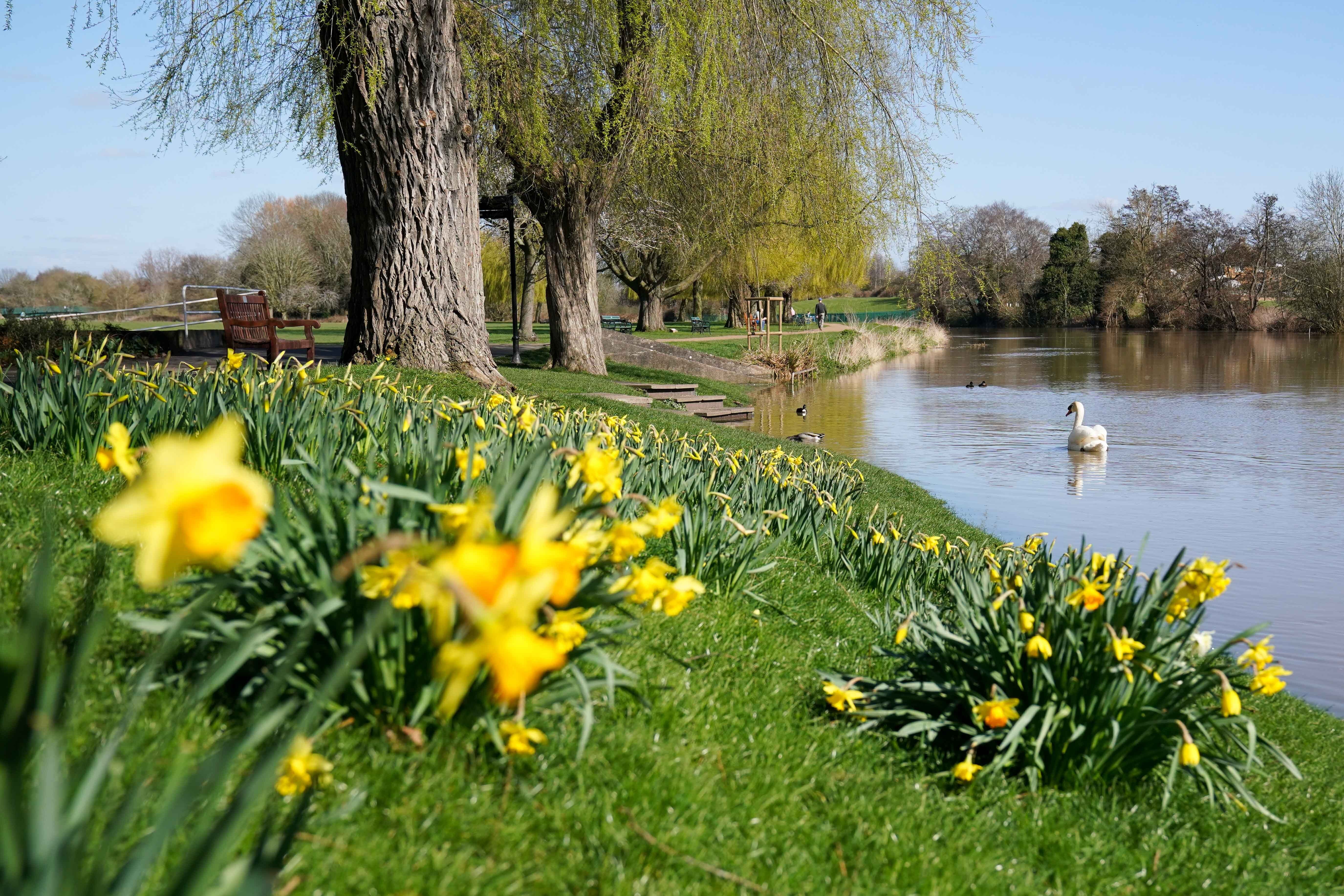 Wall-to-wall sunshine is forecast for Britain on Saturday