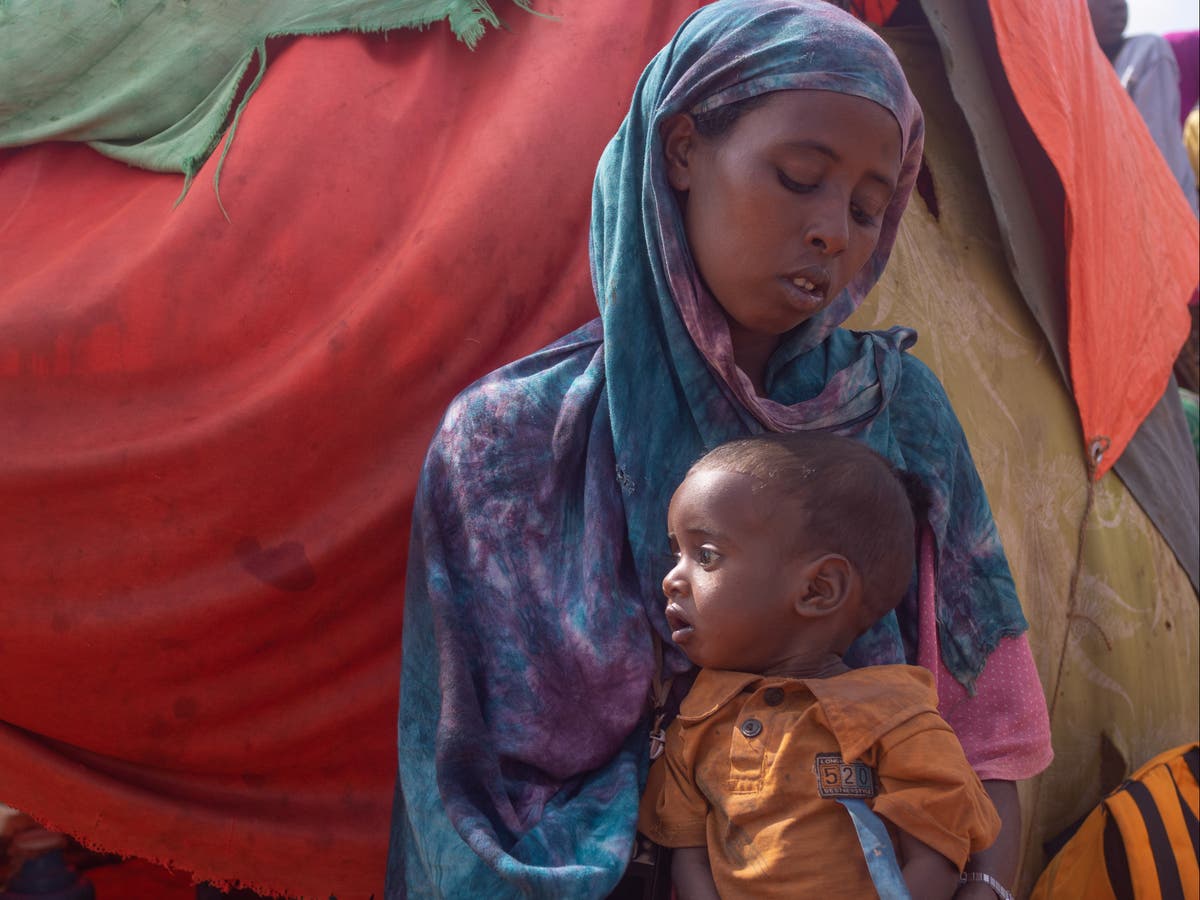 Starving to death: Somalia’s worst drought in decades raises fears of ...