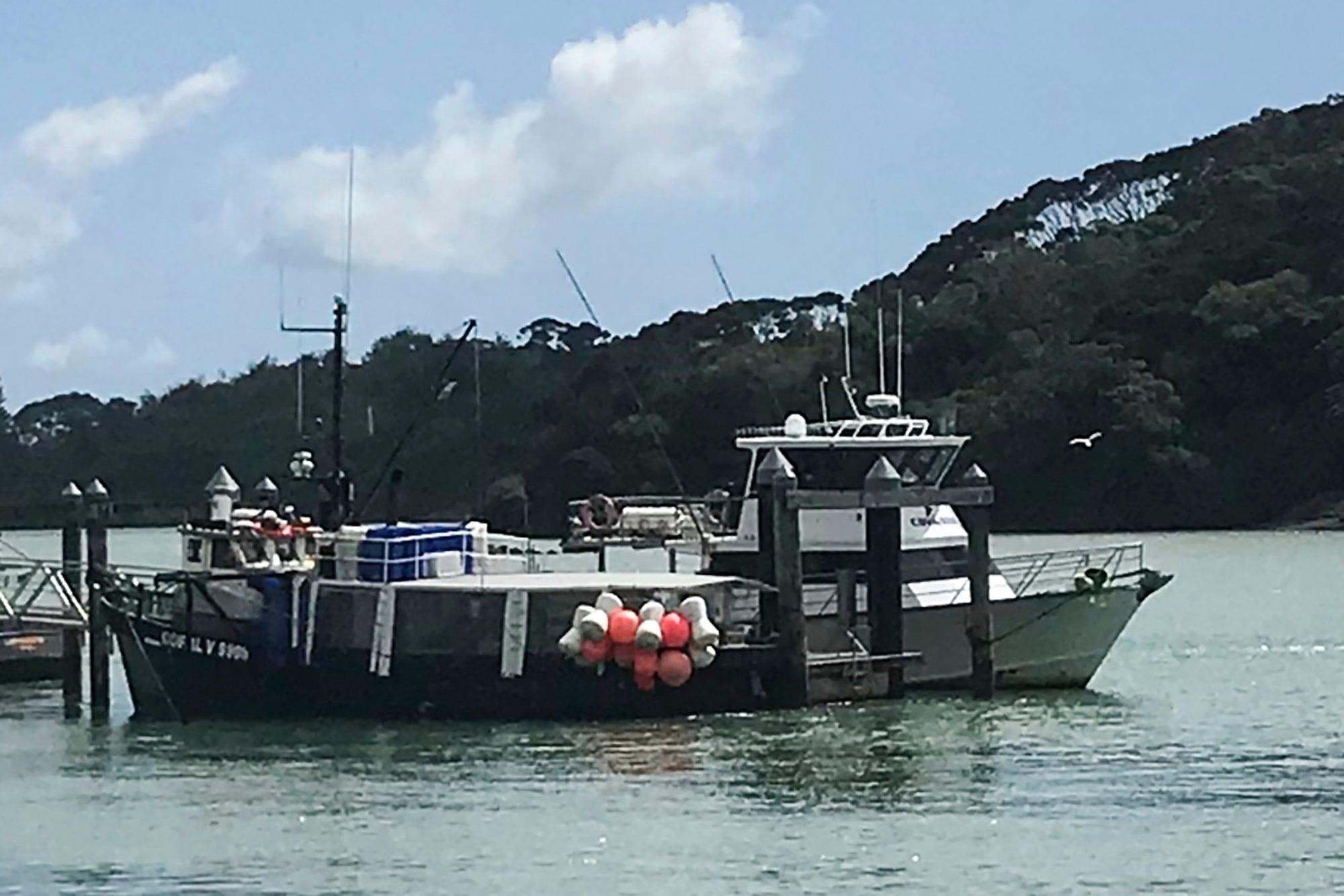 This photo shows a charter fishing boat, right, operated by Enchanter Fishing Charters, at the Mangonui Wharf in Mangonui, New Zealand on 21 March