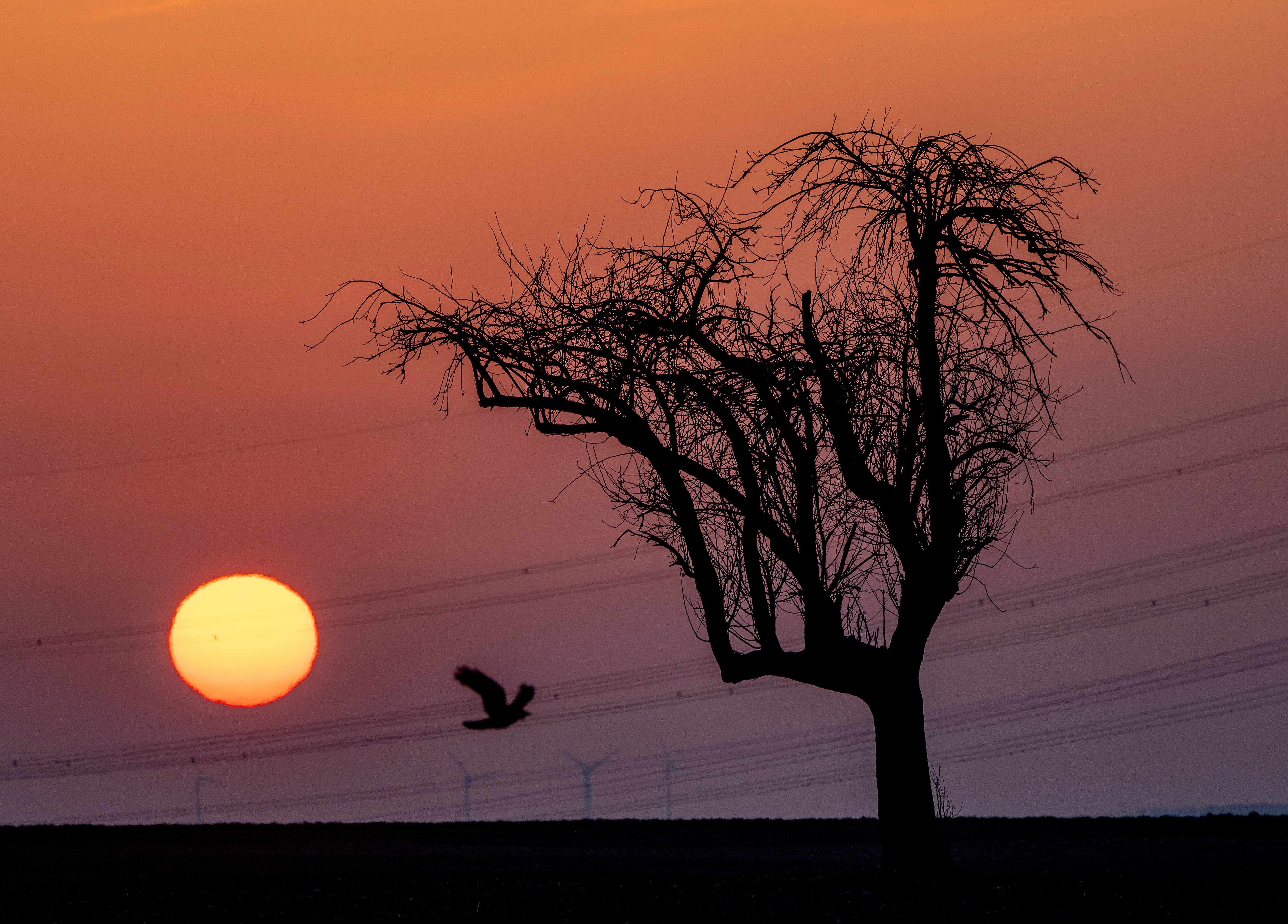 United Nations Climate