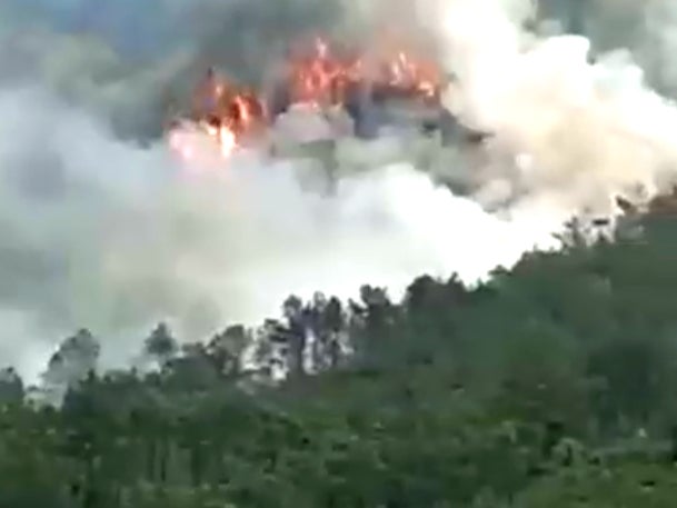 A screengrab of smoke billowing above a bamboo forest after a China Eastern Airlines passenger flight crashed with 132 people aboard
