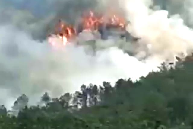 <p>A screengrab of smoke billowing above a bamboo forest after a China Eastern flight crashed with 132 people aboard</p>