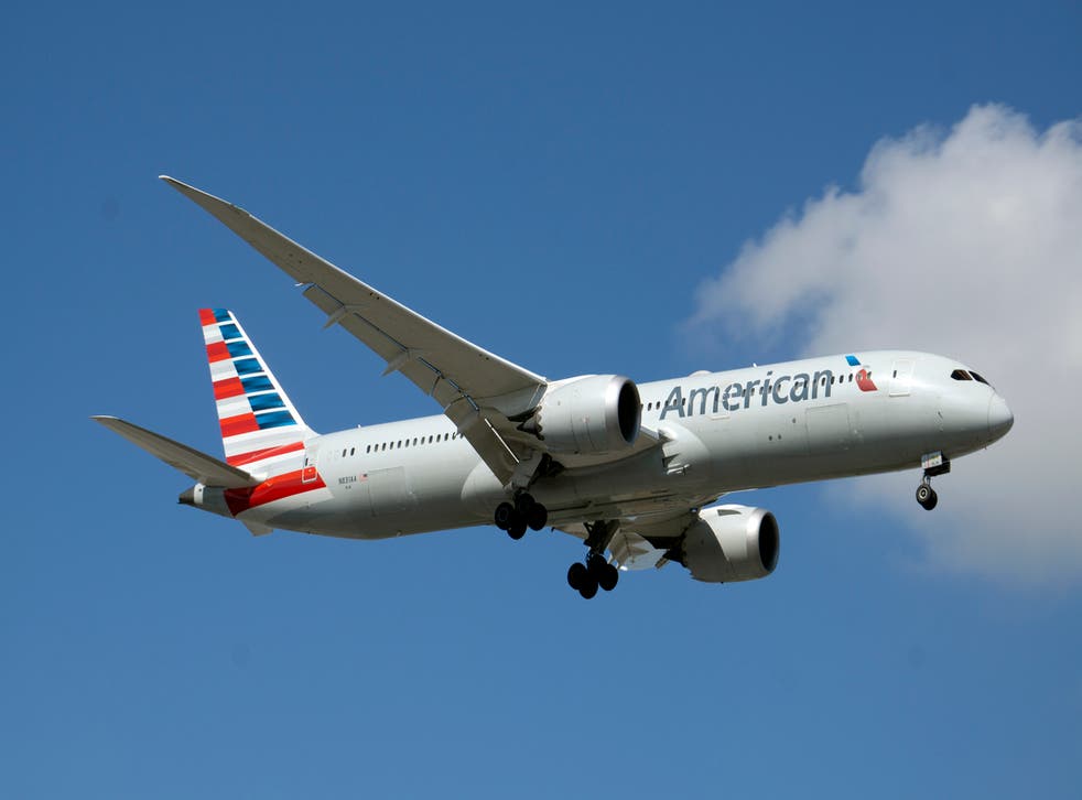 <p>An American Airlines jet</p>
