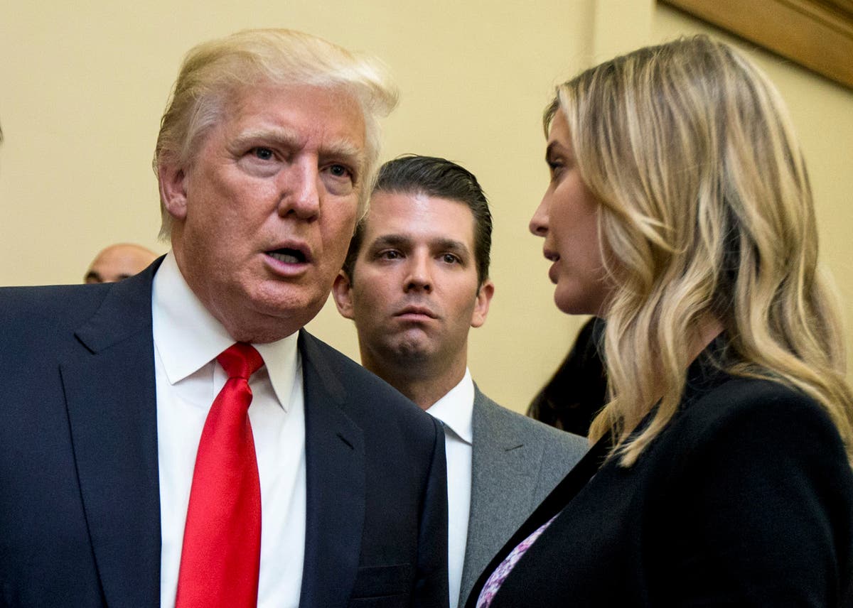 Trump lawyers: Judge abused discretion in forcing testimony