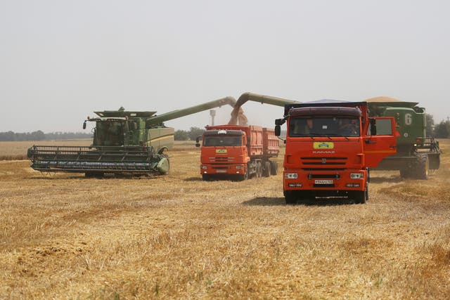 Russia Ukraine War Wheres the Wheat