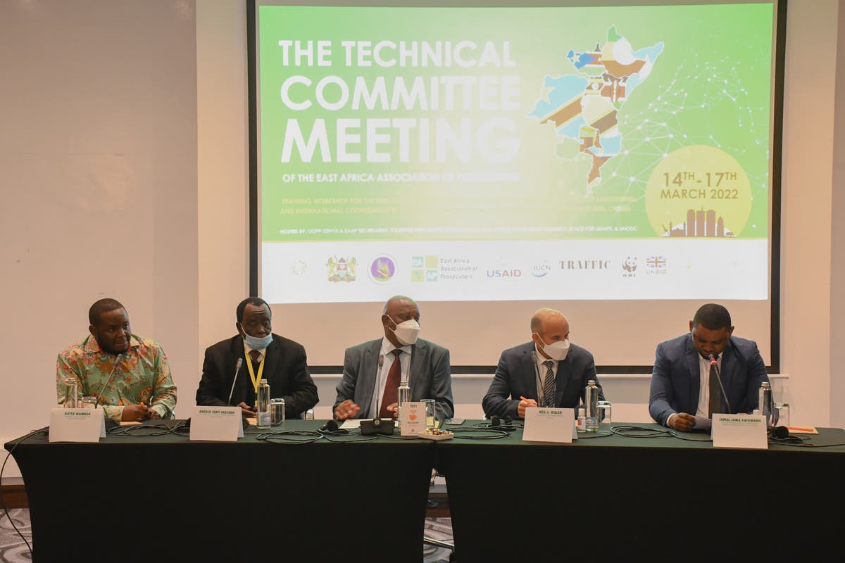 Prosecutors in East Africa pledge to end money-laundering so wildlife crime no longer pays